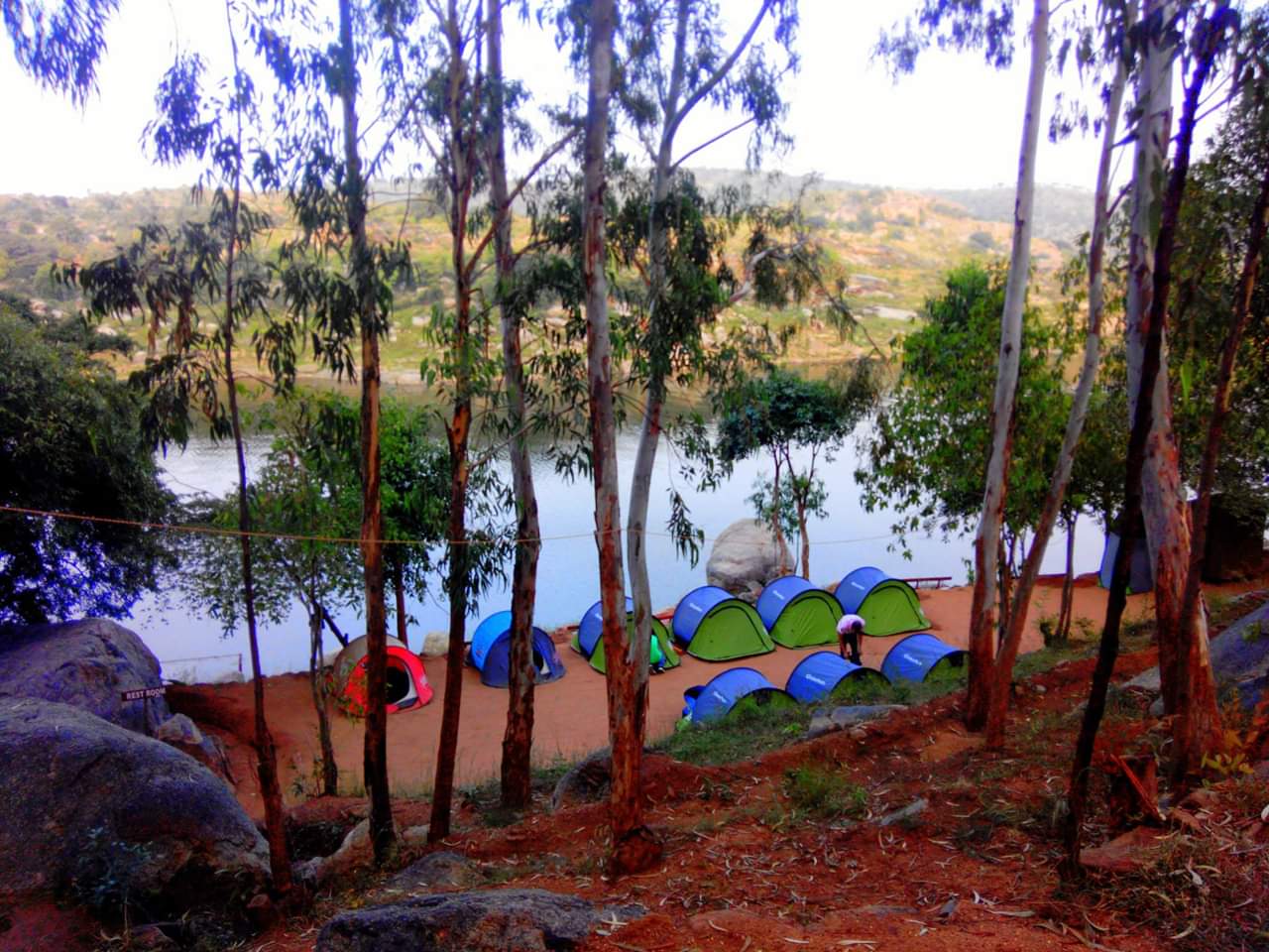 Family Day Out & Camping