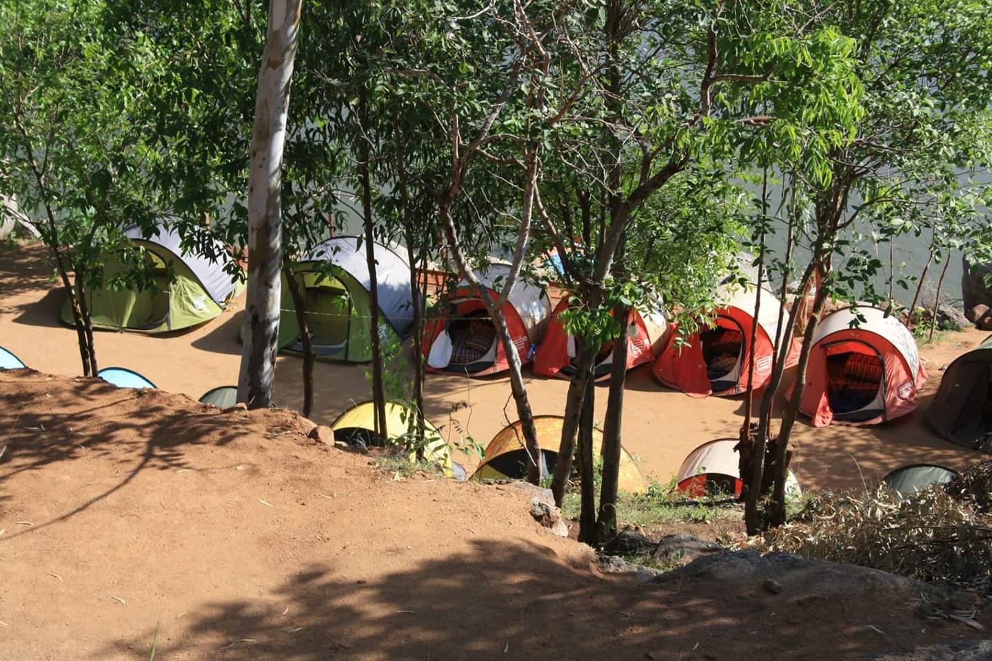 Family Day Out & Camping